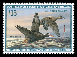 RW63, 1996 $15.00 Multicolored, mathematically precise centering within large margins, marvelously bright and fresh, o.g., n.h., superb 2008 PSE certificate (Gem 100 SMQ
$255.00) the highest grade the PSE has given this stamp.